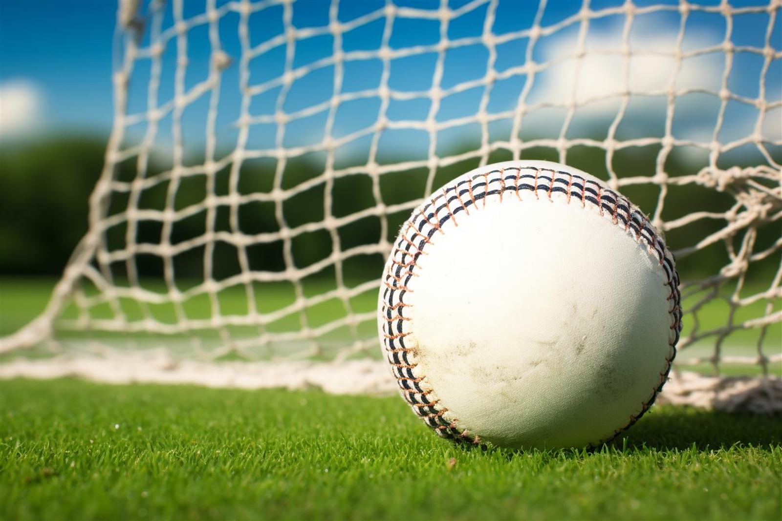 Cricket Practice Net