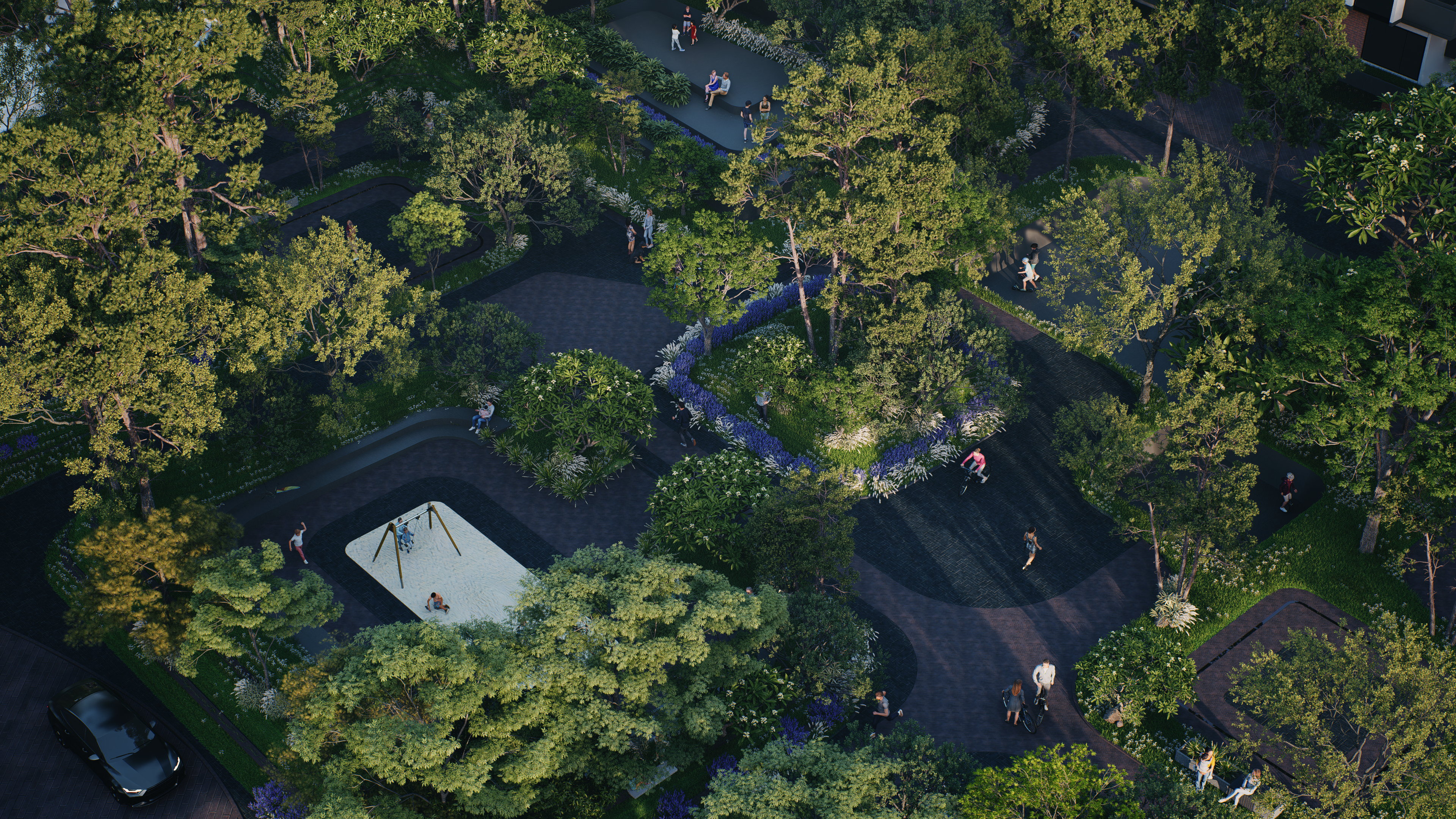 Merusri development